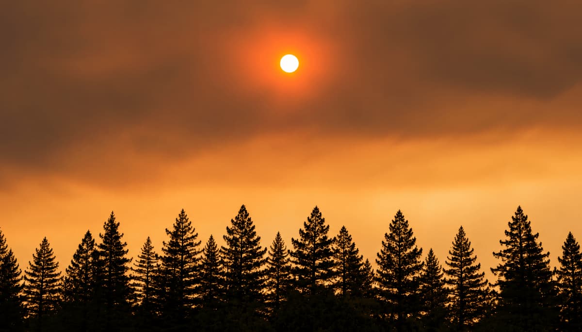 AQI Above 100: What It Means and How to Protect Yourself