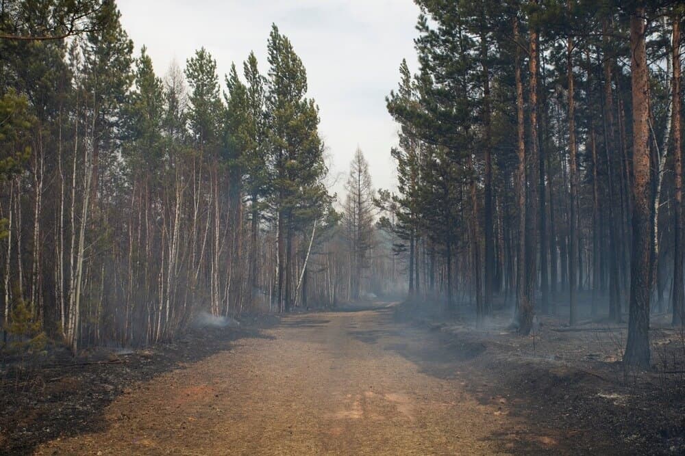 Relief Is Coming for Portland and Seattle's Smoke: But the Same Winds Are Raising Fire Danger