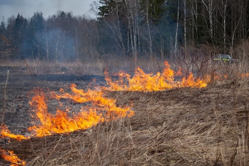 The Big Grass Fire Is Now Nearly 400,000 Acres: and Its Smoke Comes From a Different Kind of Fuel