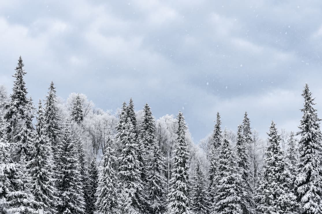 Winter Weather Advisory: What It Means and How It Differs From a Warning