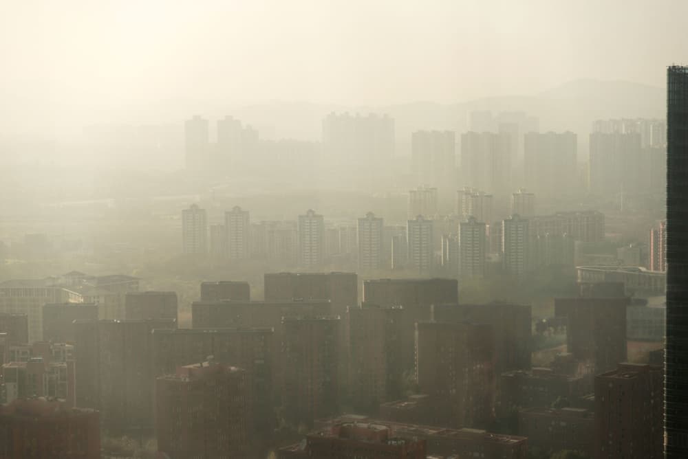 Study Links Air Pollution to Lung Cancer via Blood Markers