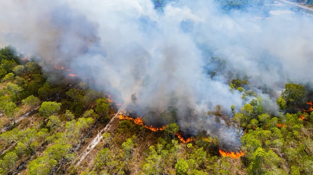 95 Fires Threaten National Parks Across the West