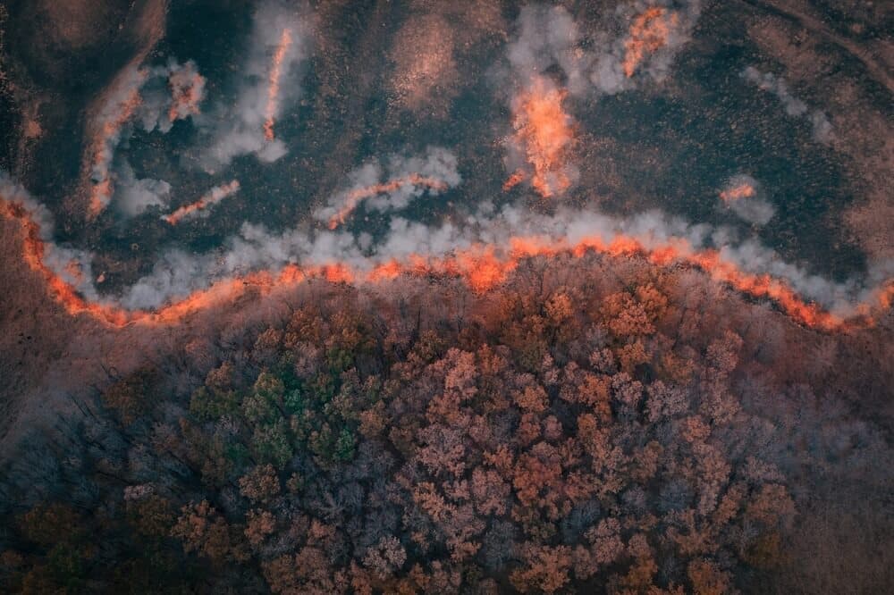 Wildfire Smoke May Be More Harmful Than Other Air Pollution, Two New Mount Sinai Studies Find
