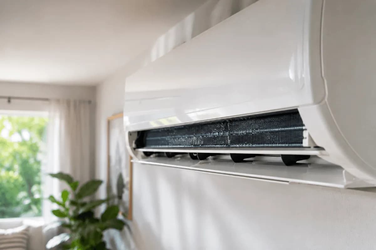 Mold hides inside the indoor unit of a ductless mini split, where the cold coil sweats as the system runs.