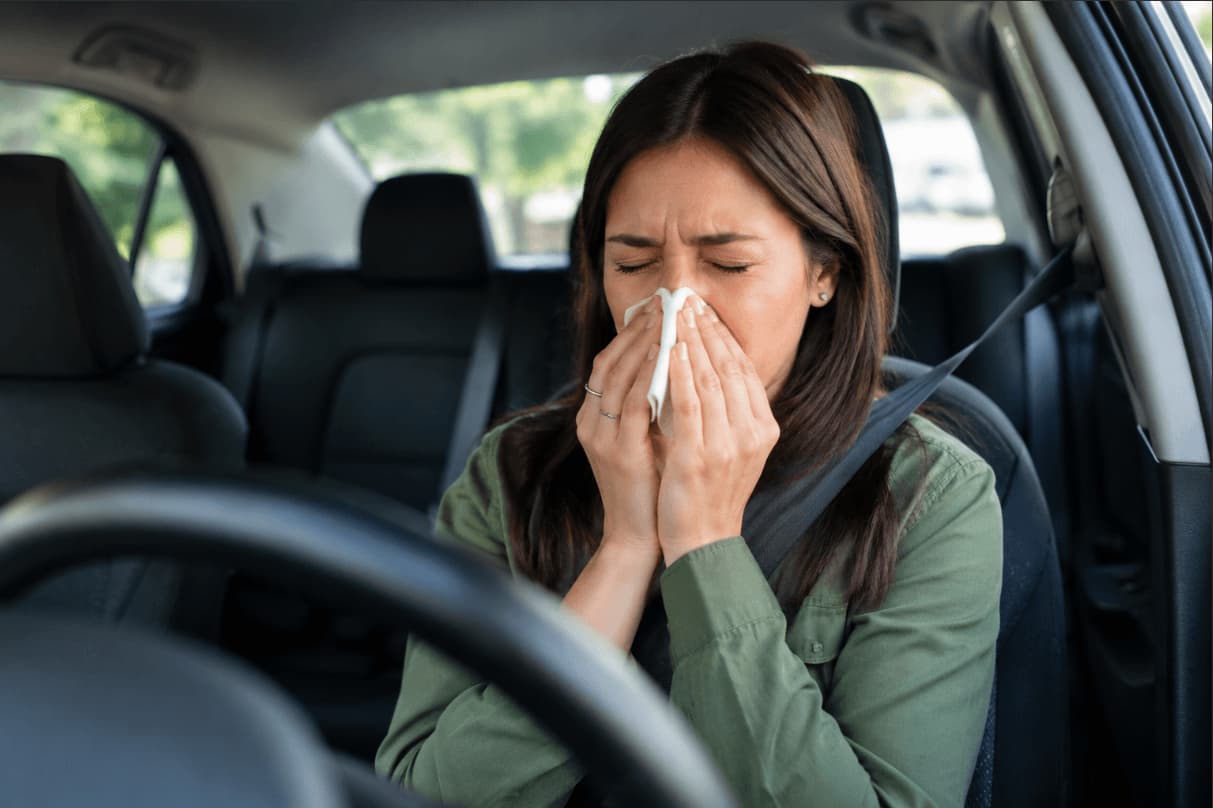 Best Cabin Air Filters for Allergy Relief | Filterbuy