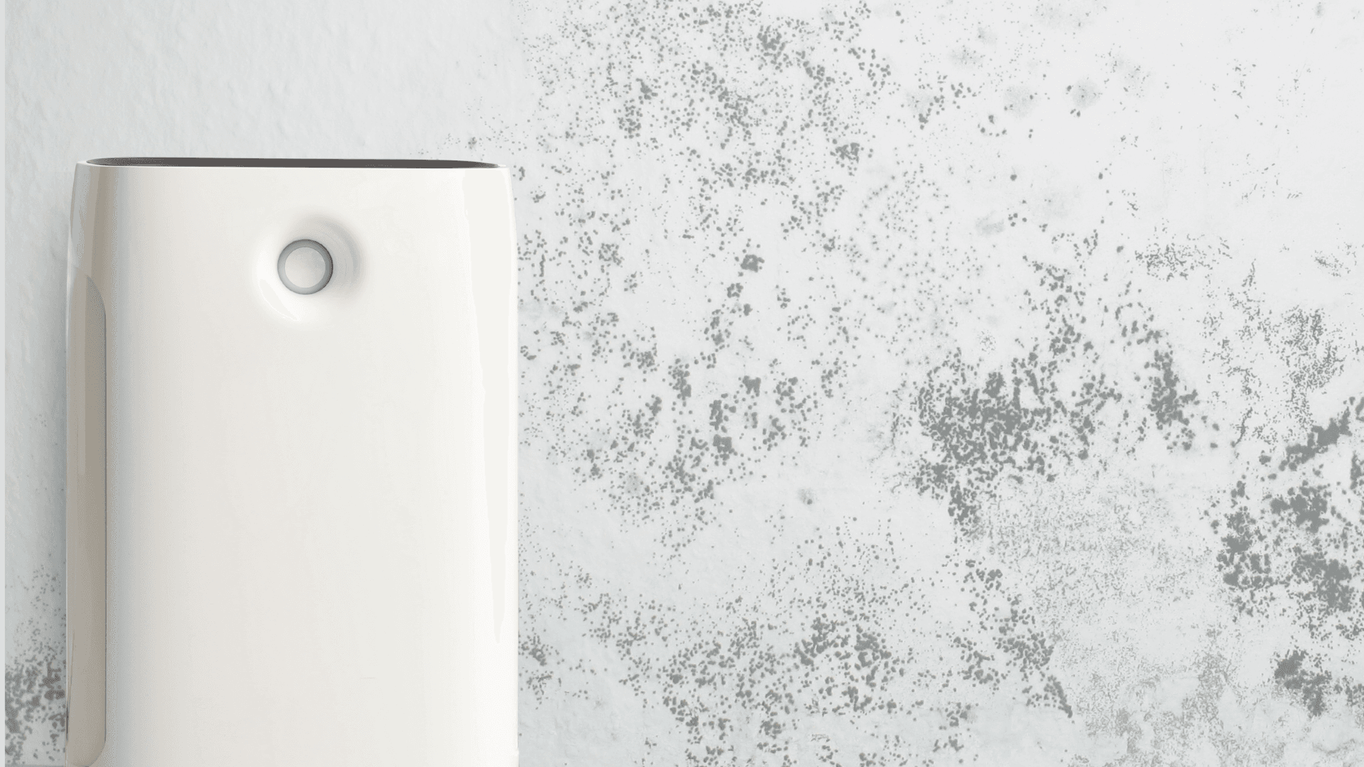 Does an Air Purifier Help with Mold Spore Removal?