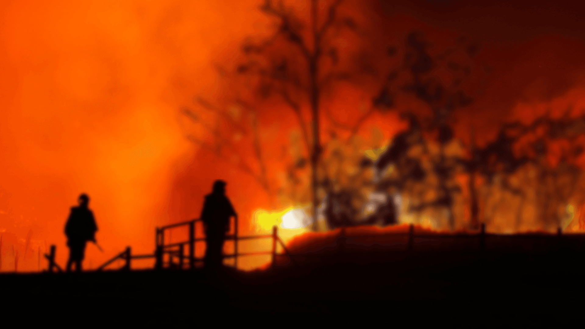 States Most Affected by Wildfires in the U.S. – 2025 Update