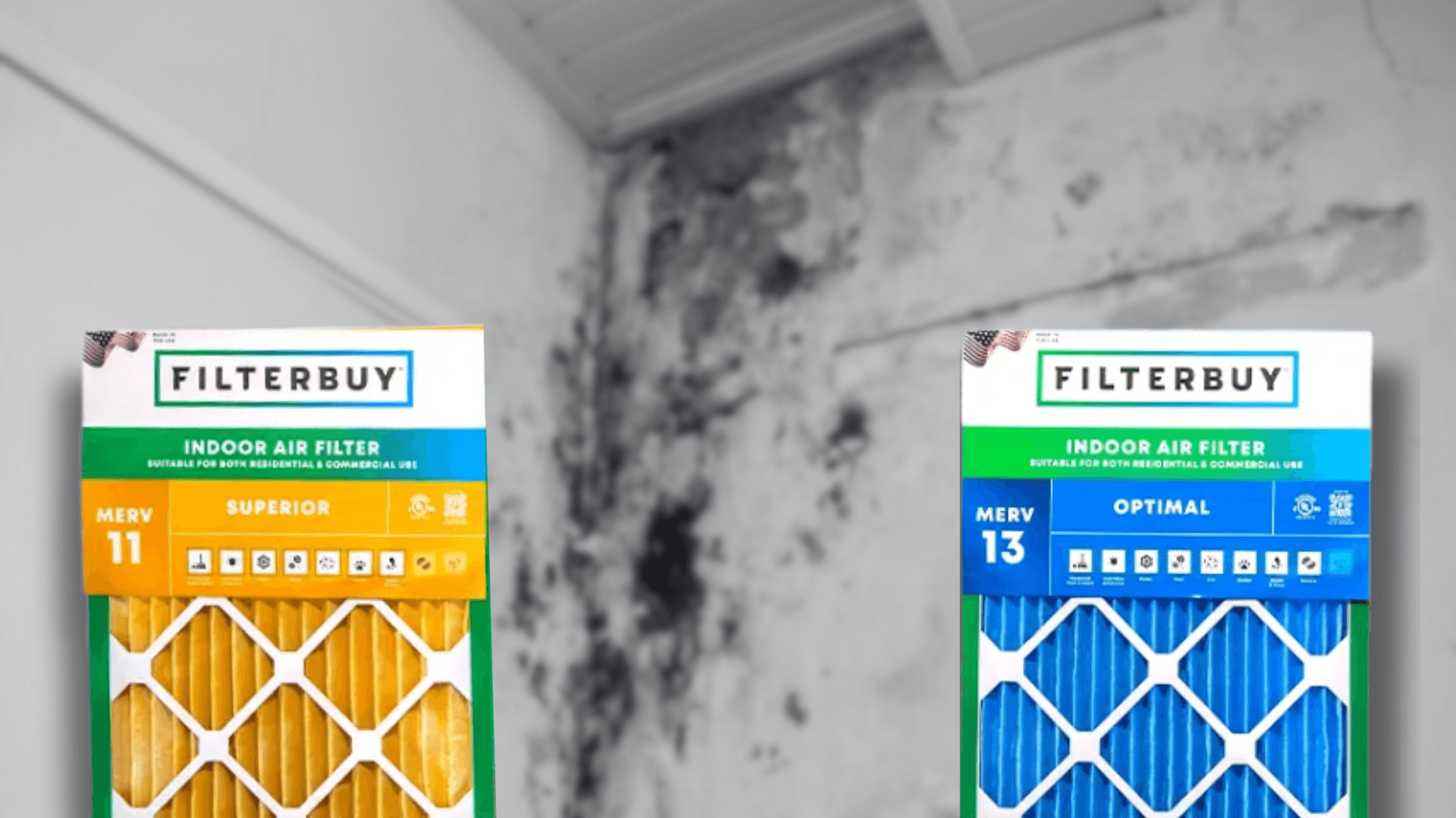 Can An Air Filter Help with Mold?